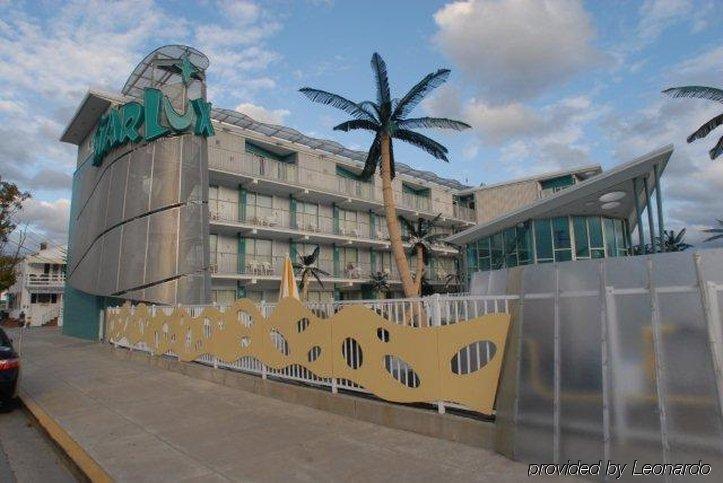 The Starlux Otel Wildwood Dış mekan fotoğraf